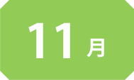 11月